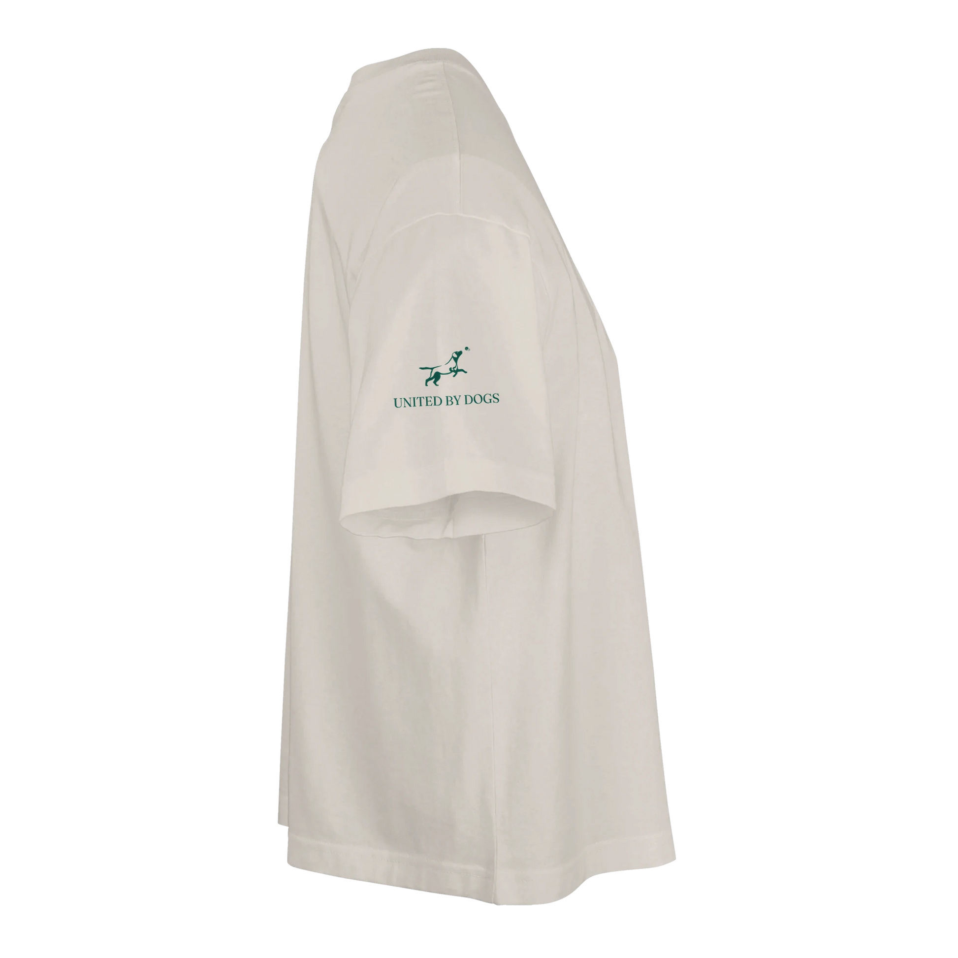 3d6089a4-af21-4304-a88e-e66187209351