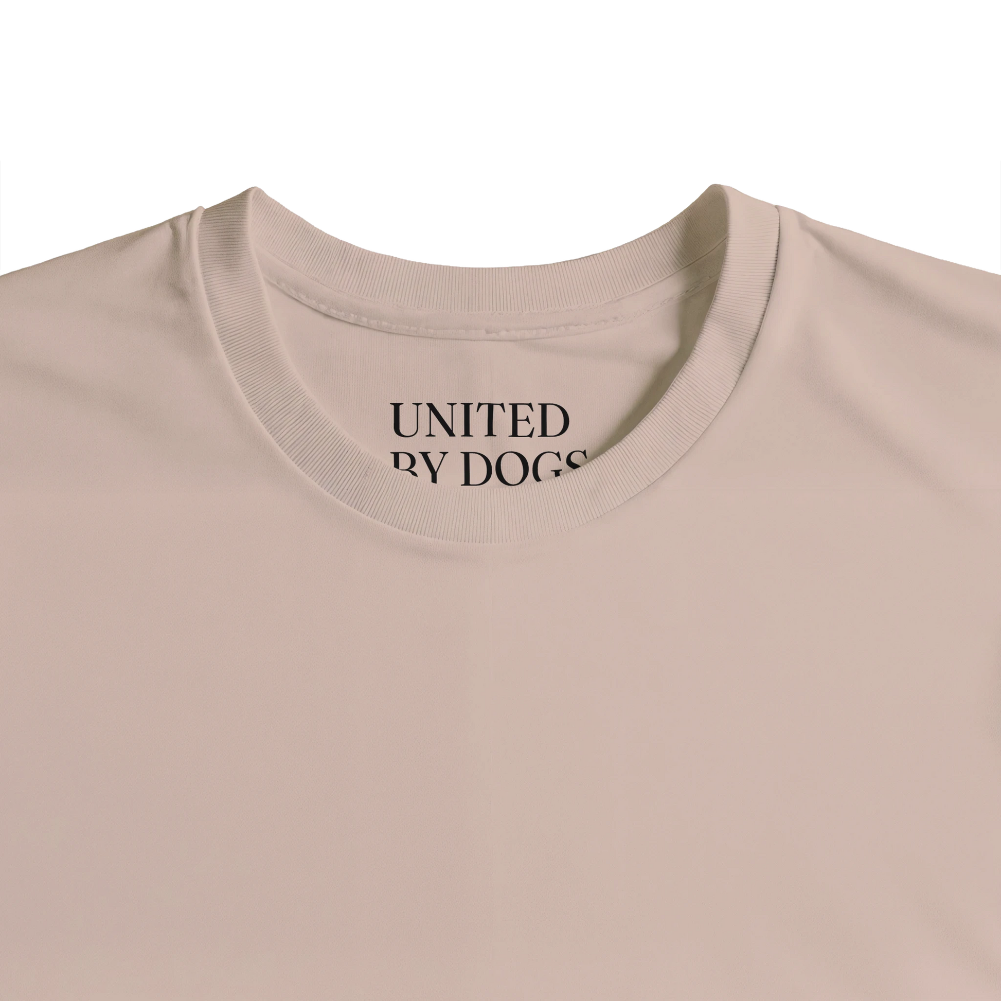 75e8d11b-9326-4500-9c88-5fd3bded0001