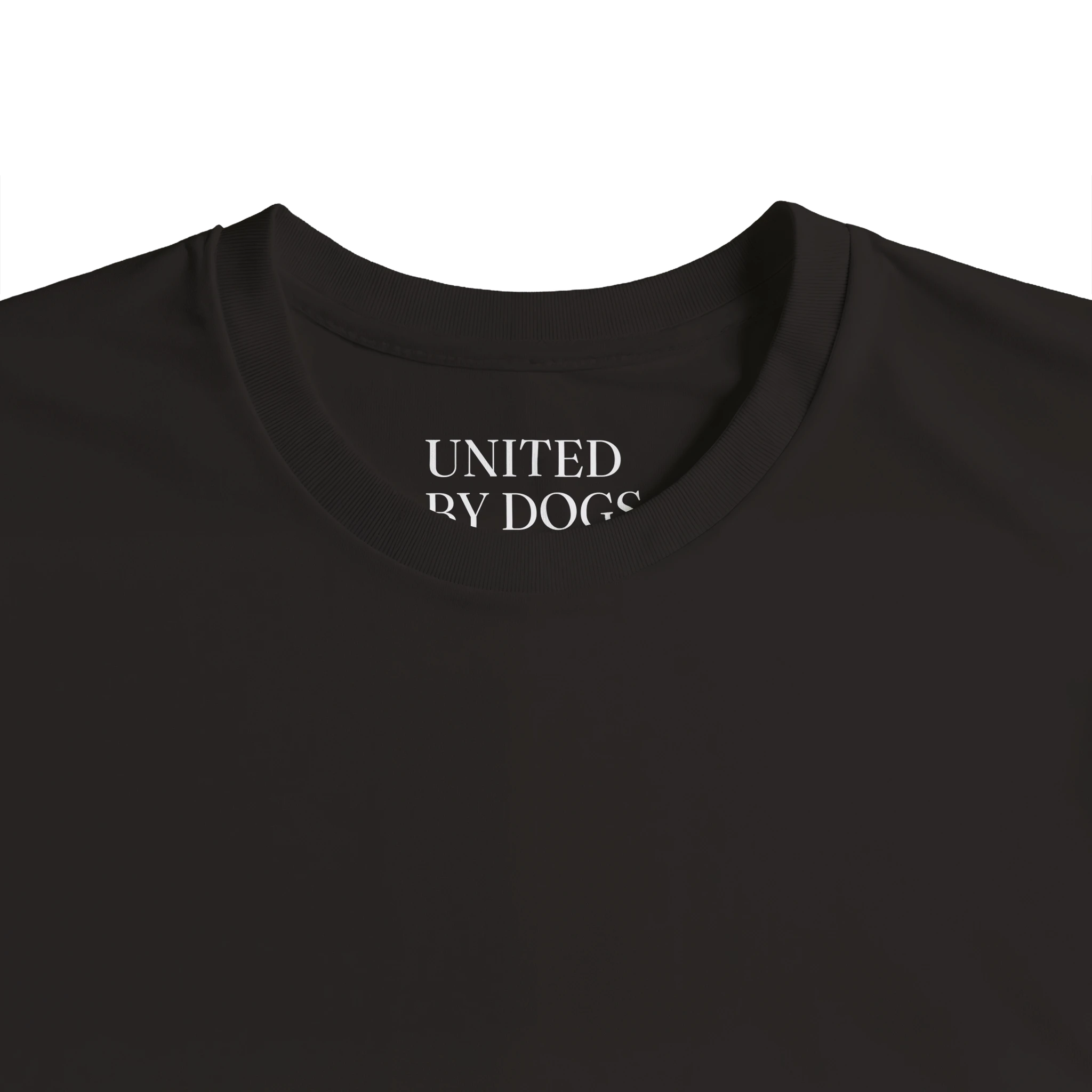 894ed7c6-640d-45c0-805c-96d3b974c997